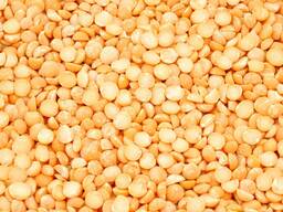 Горох желтый колотый (yellow split peas)
