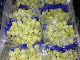 Grapes
